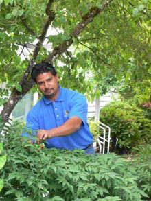 Yardwork