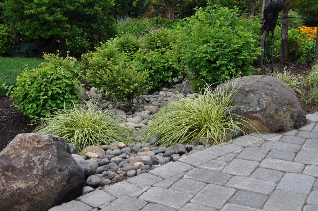 Include a Rain Garden in Your Landscape Design