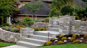 July Landscaping