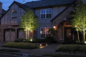 Outdoor-Lighting-LED-Uplights