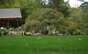 Portland Oregon Lawn Care