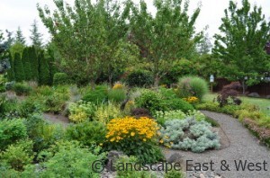Portland Landscaping Tree Pruning 2