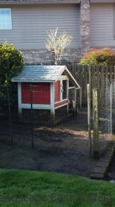 Portland Landscaping Fenced In Chicken Coop 