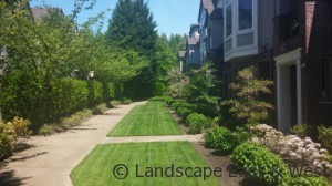 HOA Portland Landscaping Maintenance