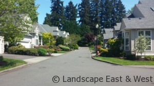 HOA Portland Landscaping Maintenance