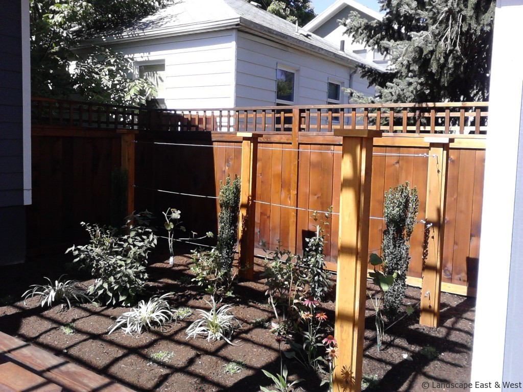 Portland Vegetable Garden Designs