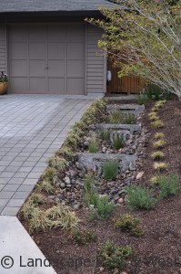 Rain Garden Design for Portland Landscaping