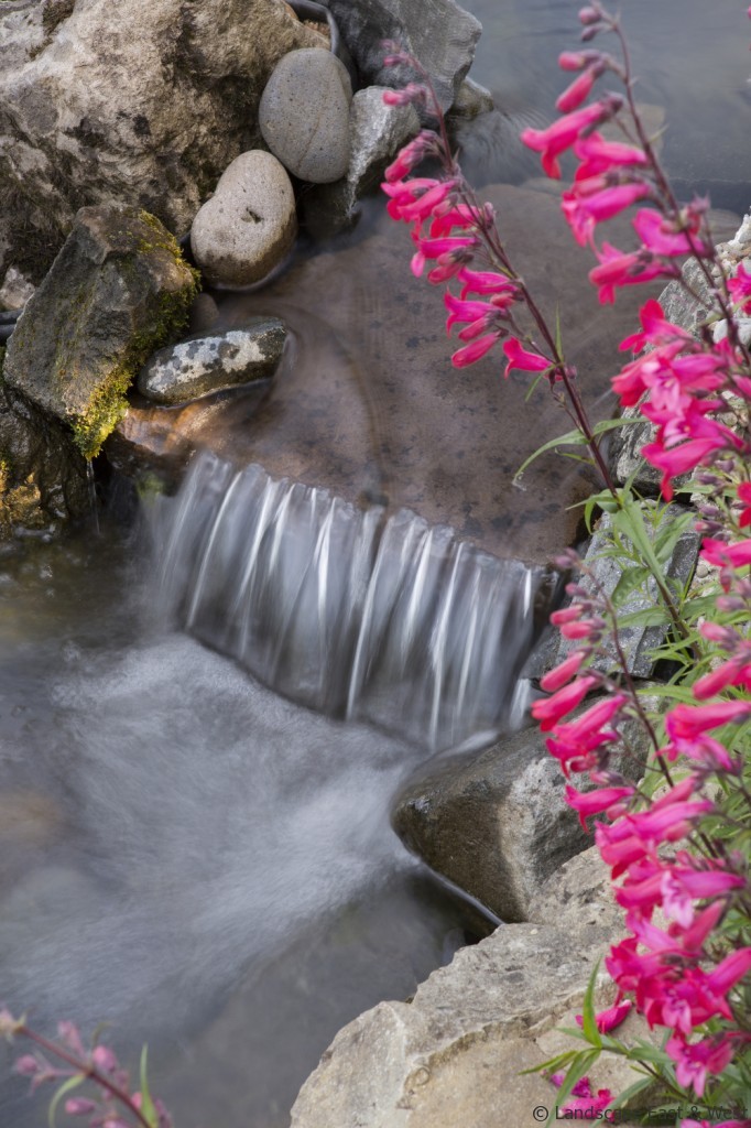 Portland Landscaping Water Feature