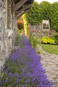Portland Landscaping Gardens and Plants