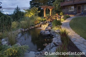 Portland Landscaping Water Feature Lighting