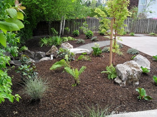 Portland Landscaping Plants Small