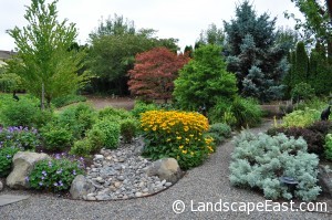 Portland Rain Garden Design