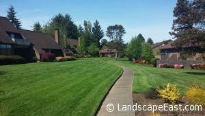 Hillsboro Landscaping for HOAs