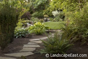 HIllsboro, OR Shade Plants