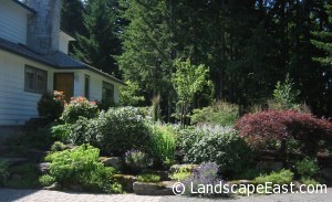 Flowering Shade Plants Hillsboro