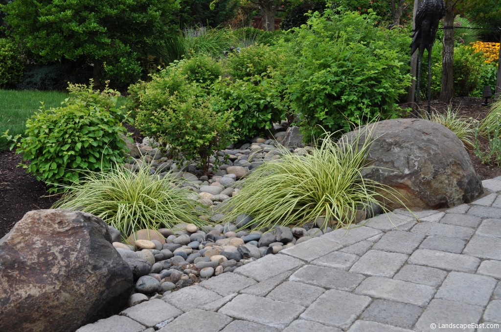 rain garden
