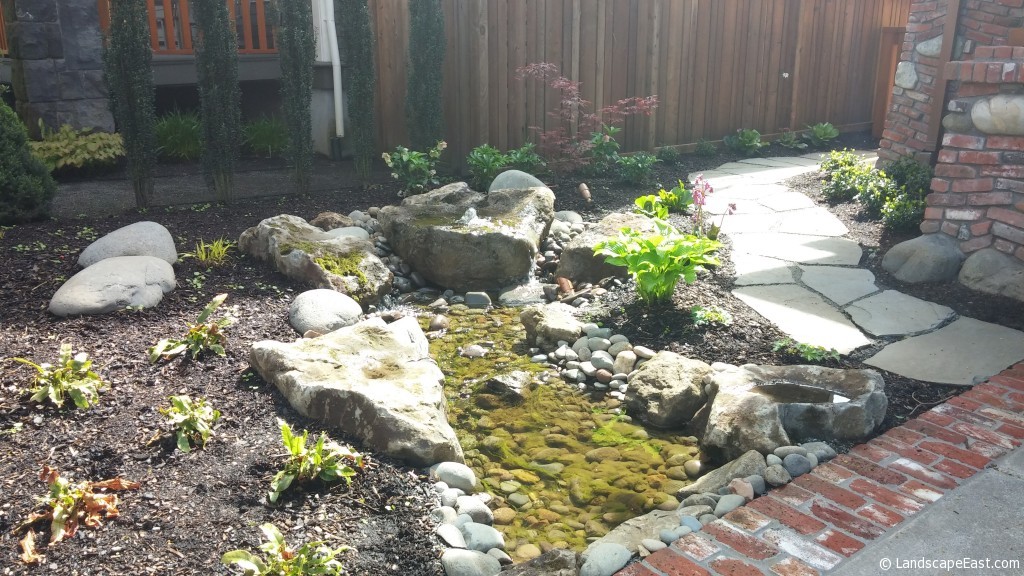 Portland Landscaping Plants