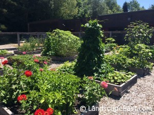 Garden Design