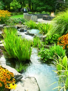 Springwater Landscaping Maintenance Tips