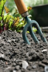 garden composting and landscaping services