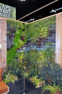 Green Wall Feature for Yard, Garden & Patio Show 