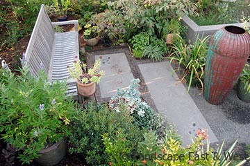 Stepp Garden Design