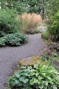 Garden Design with Walkway