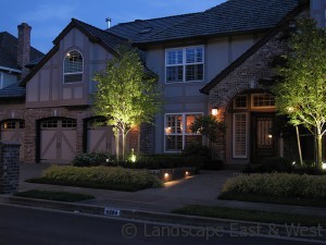 Outdoor Lighting LED Uplights