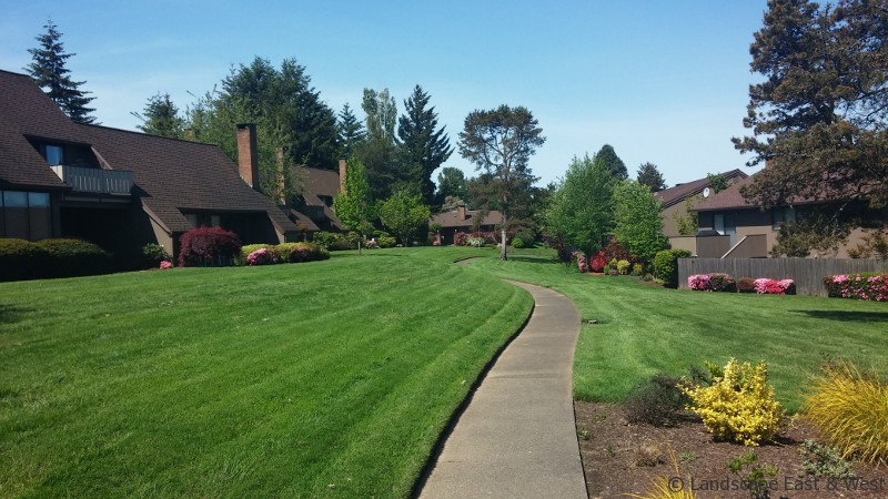 HOA Portland Landscaping Maintenance