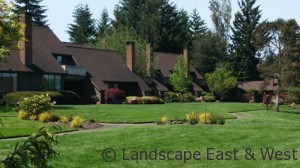  HOA-Portland-Landscaping-Maintenance