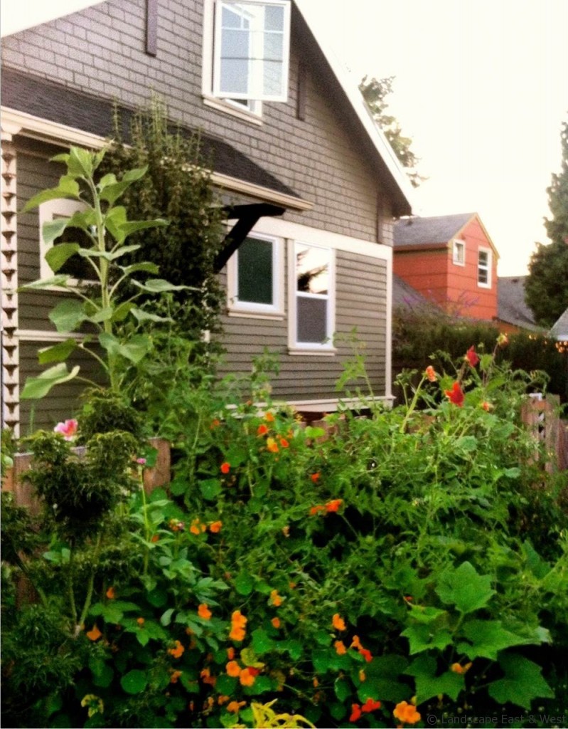 Portland Edible Garden Design