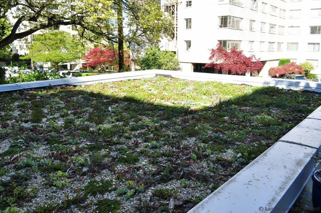 Green Roof Portland Landscaping