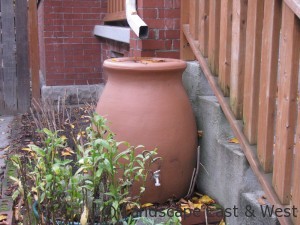 Rainwater Harvesting Option Above Ground Cistern