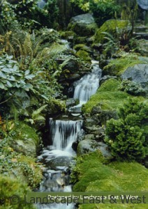 Water Feature Falls