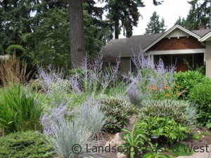 Portland Landscaping Plant Health