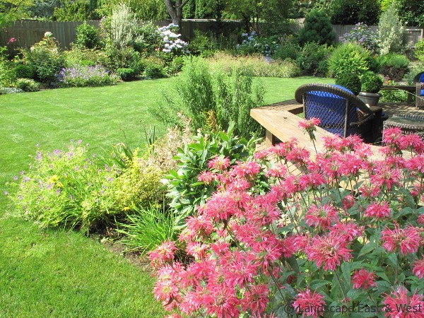 Portland Landscaping Plants and Gardens 