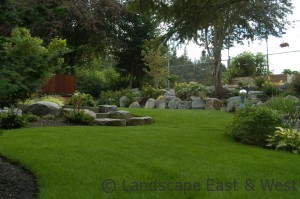 Portland Lawn Care and Plant Health