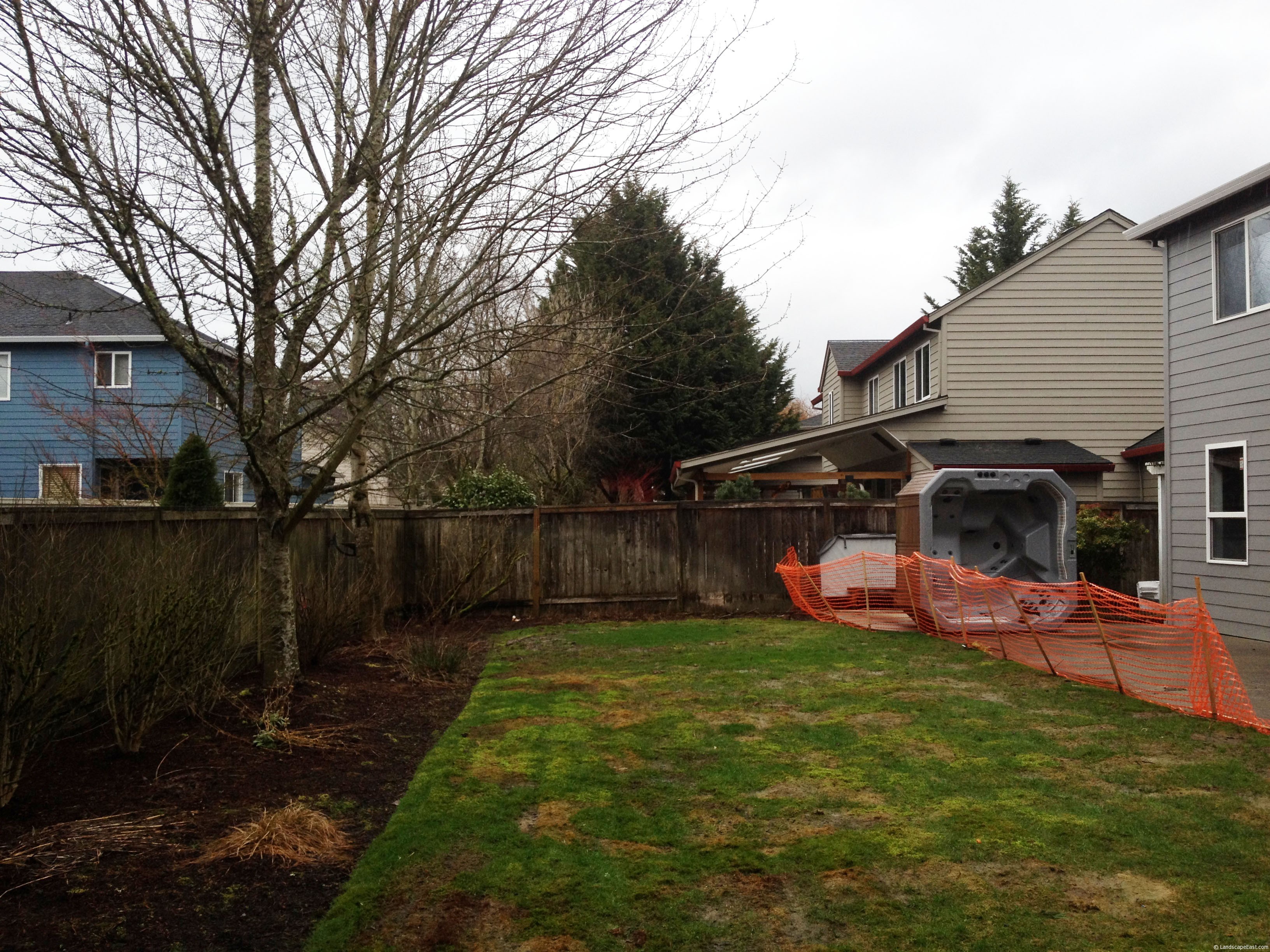 Portland Landscaping Backyard Before 