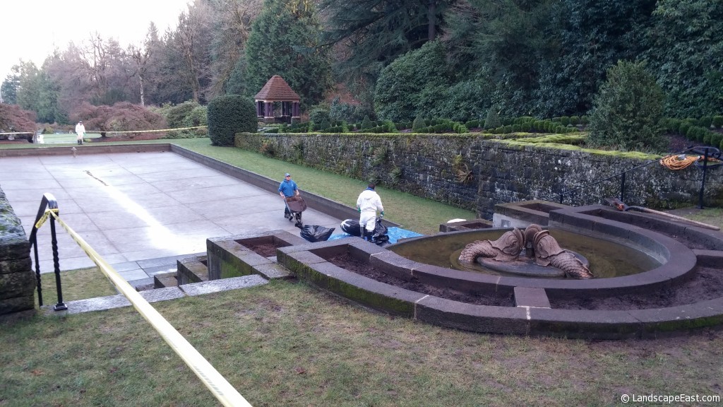 Portland Landscaping Boxwood Mitigation