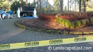 Portland landscapers clean up boxxwod blight
