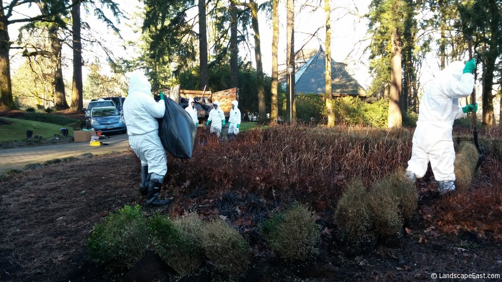 Portland Landscapers Adding Soil