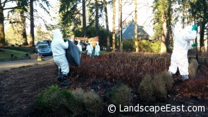 Portland Landscapers Adding Soil