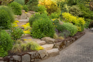 Landscape East & West Stone Step and Paver Path