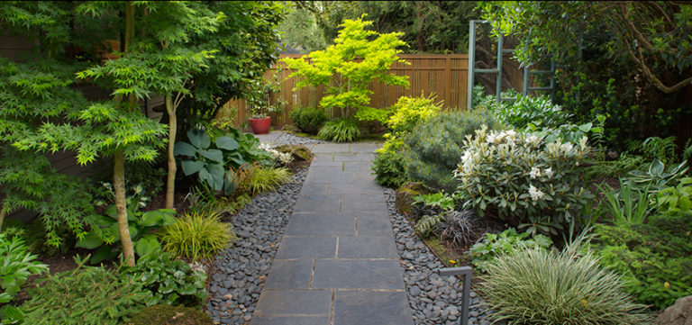 Creating Interest in Your Yard with Focal Points and Special Features ...