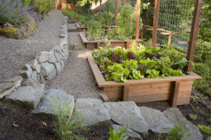 Midsummer Guide To Landscape And Garden Care in Portland Oregon