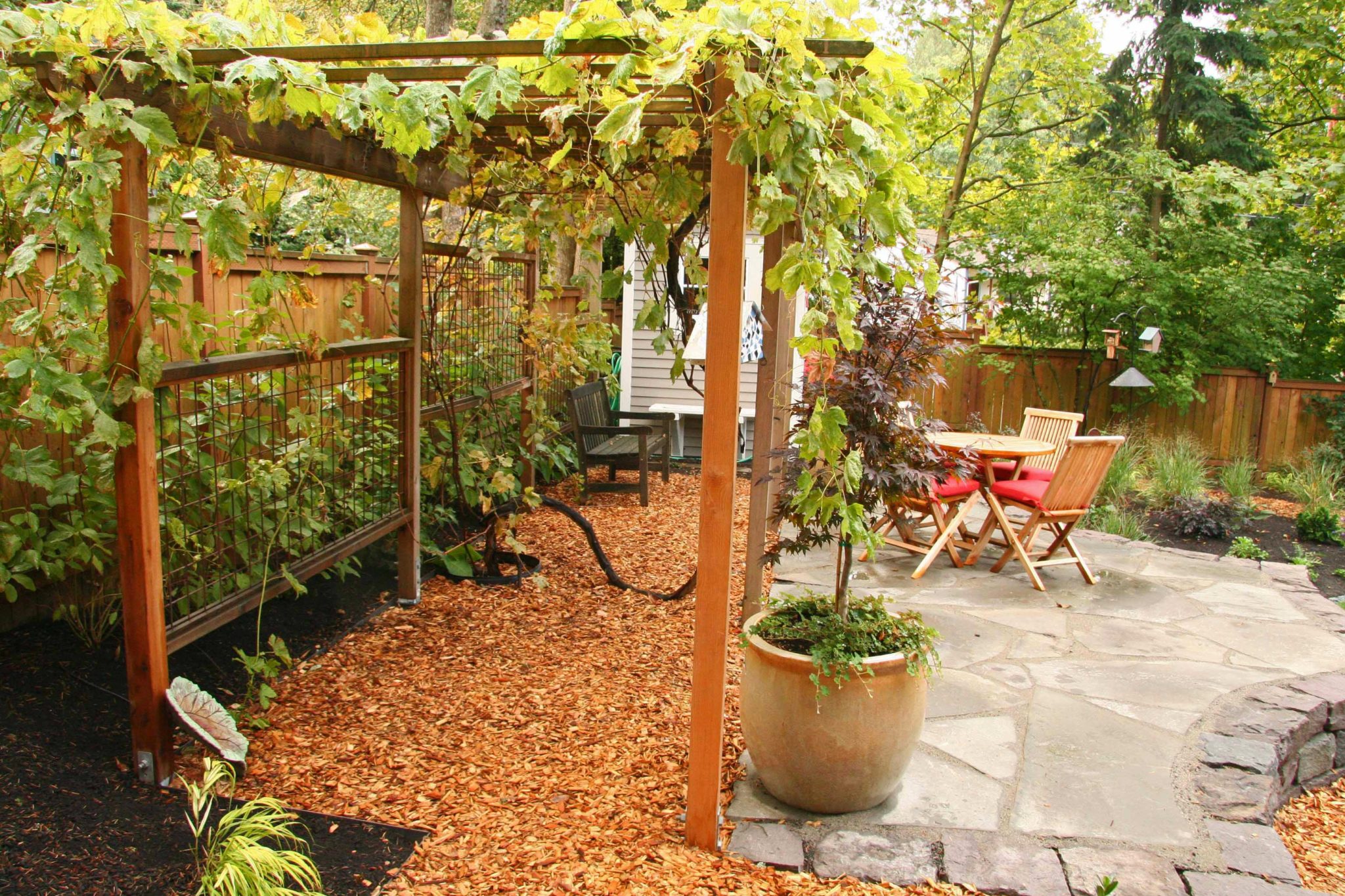 Cedar grape arbor with steel trellis inset