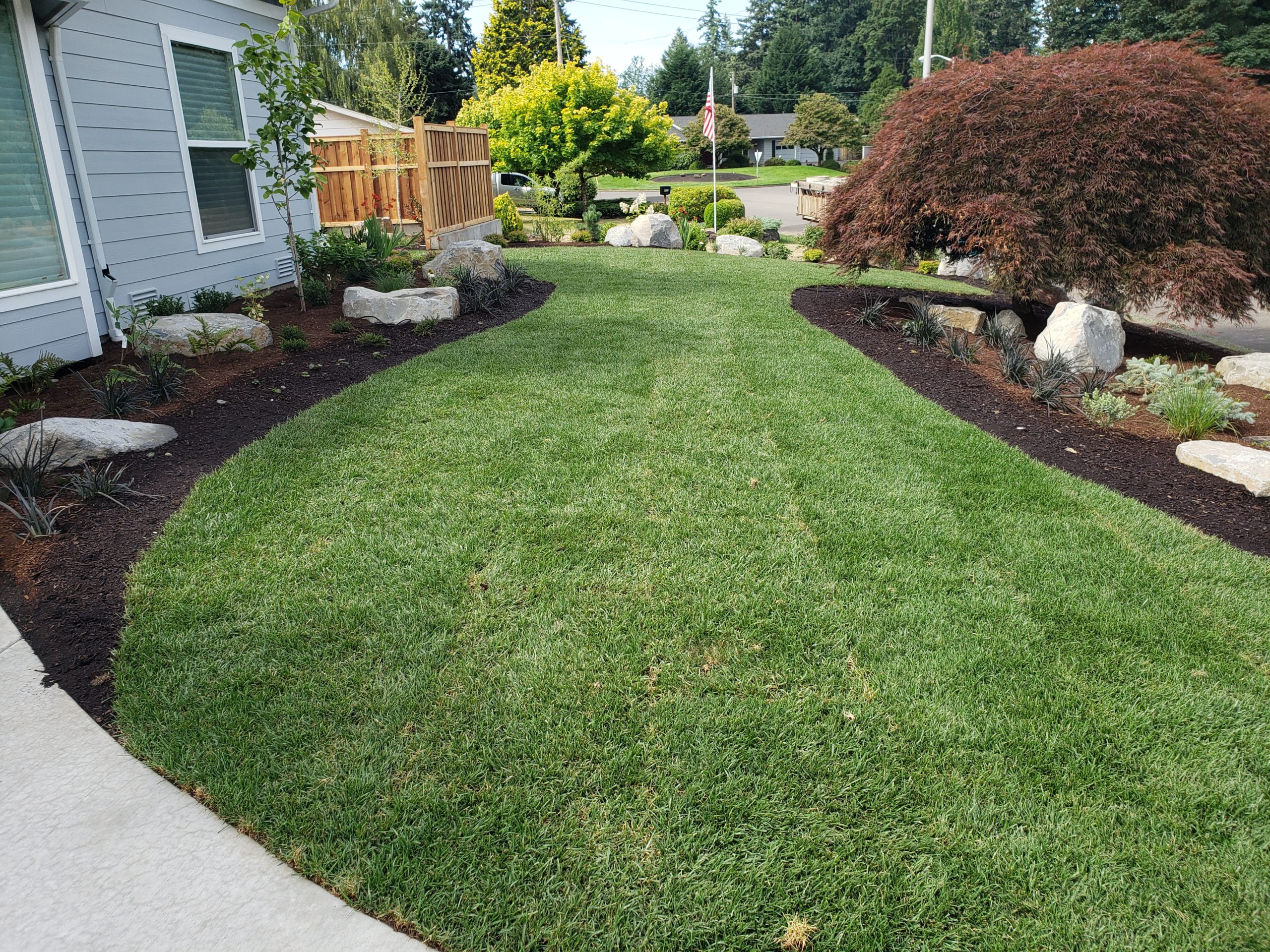 The Best Grass For A Luscious Northwest Lawn Portland Landscaping Company
