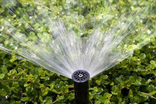 sprinkler head