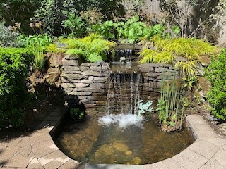 water feature