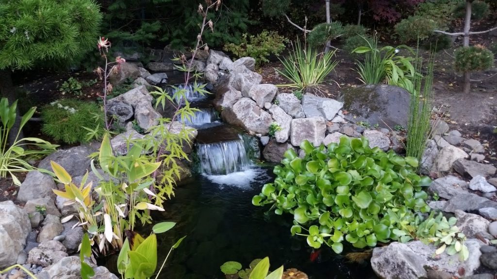 Water Features to Fall in Love With